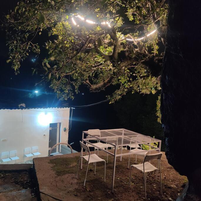Valley Nest For 6-12 Pax مونت ابو المظهر الخارجي الصورة