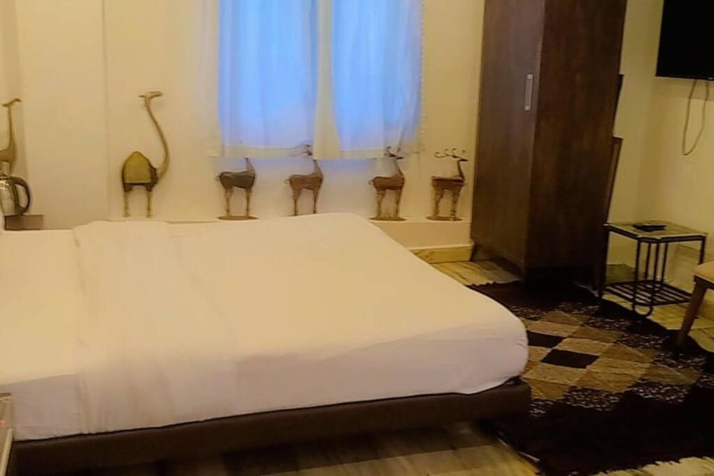 Valley Nest For 6-12 Pax مونت ابو المظهر الخارجي الصورة